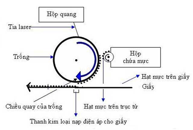 Cau Tao Nguyen Ly Hoat Dong Cua May In Laser