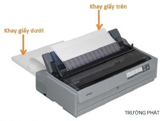 hướng dẫn sử dụng máy in kim epson lq310